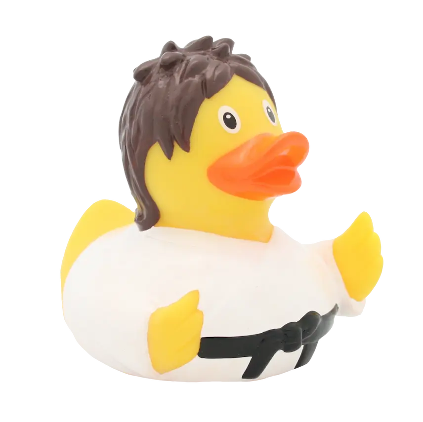 Canard Kung Fu