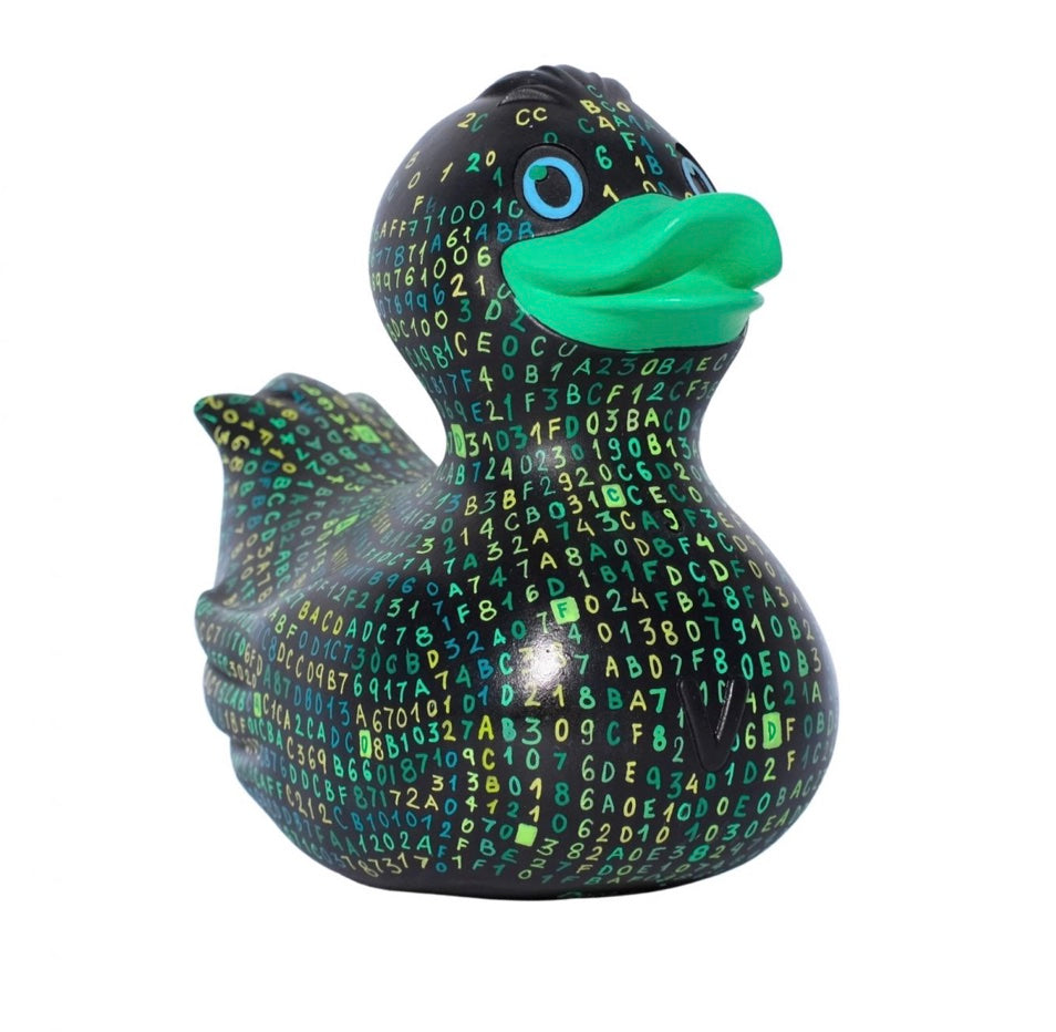 Ceramic Hand Painted Duck - Matrix