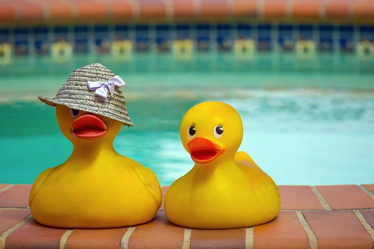 free-photo-of-yellow-rubber-ducks-by-poolside
