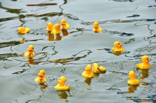 depositphotos_194741130-stock-photo-yellow-rubber-ducks-duck-race