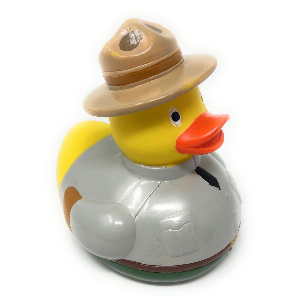 Canard Garde Forestier
