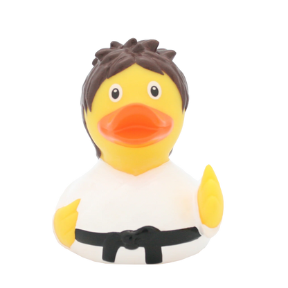Kung Fu Rubber Duck