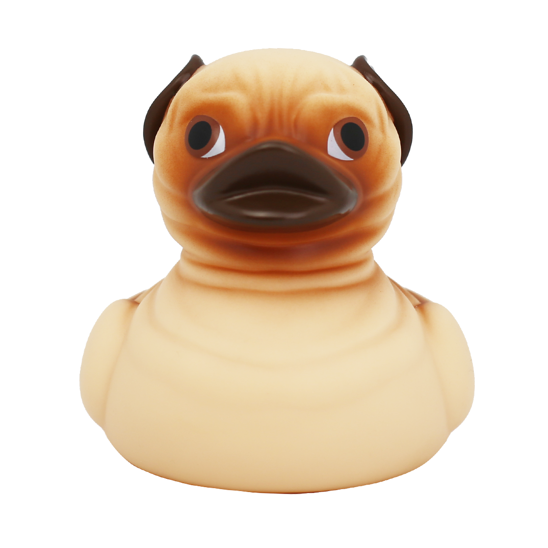 Canard Carlin