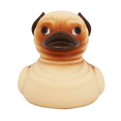 Canard Carlin