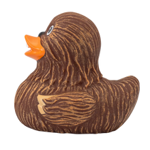 Canard Chewie