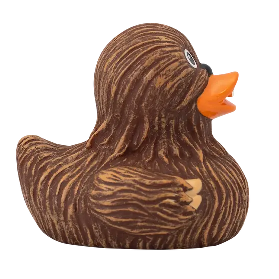 Canard Chewie
