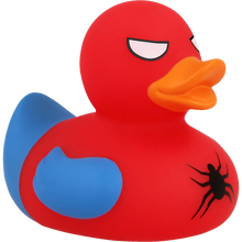 Canard Spidy 