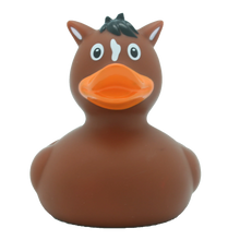 Pony  Rubber Duck