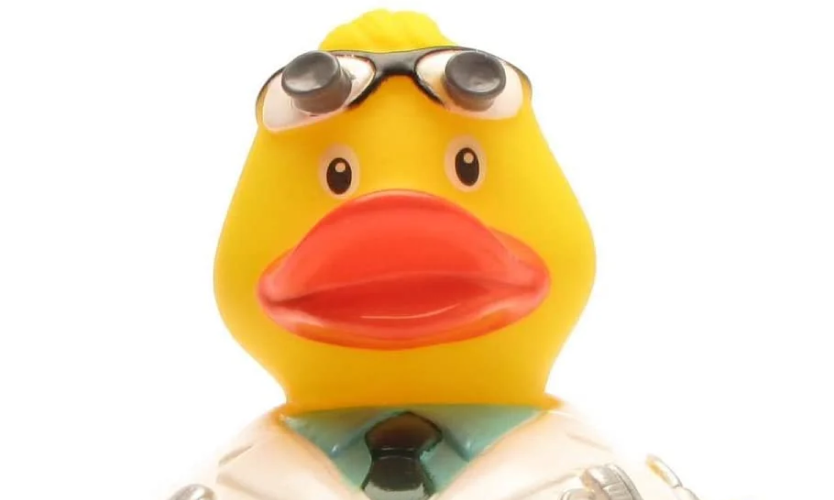 Tech & Science Collectible Ducks For Programmers