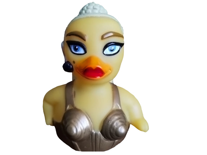 Canard La "Material Bird"