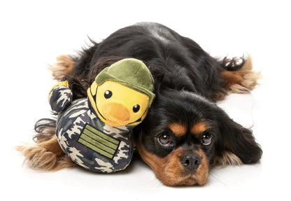 Commanduck Dog Toy