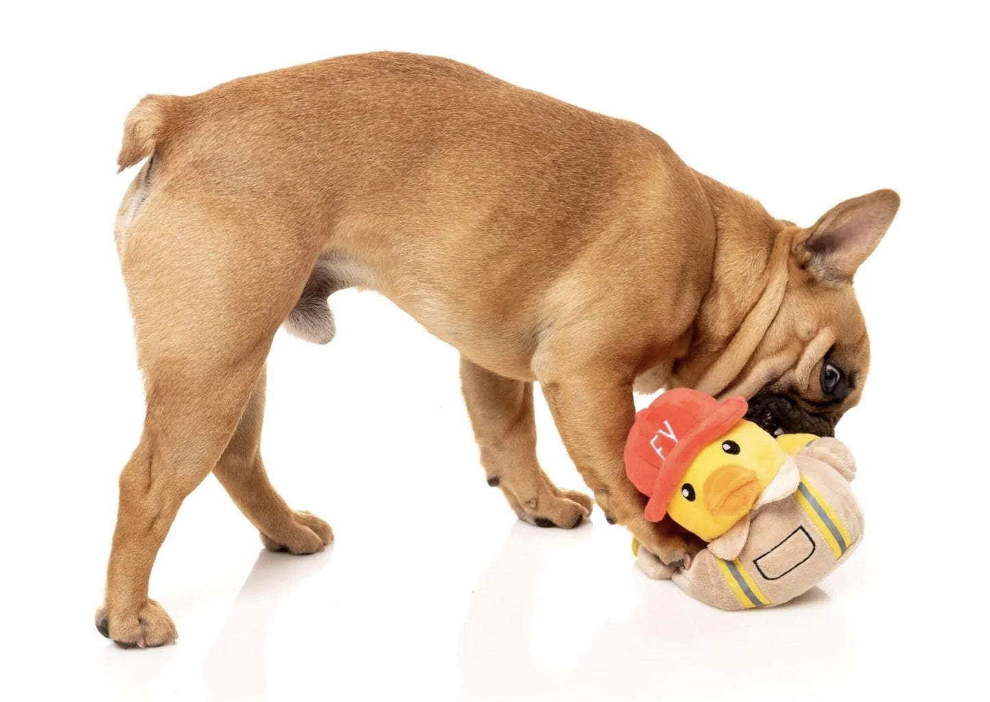 FireQuacker Dog Toy