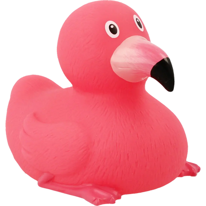 Canard Flamant Rose