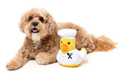 Gordon Quacksay Chef Dog Toy