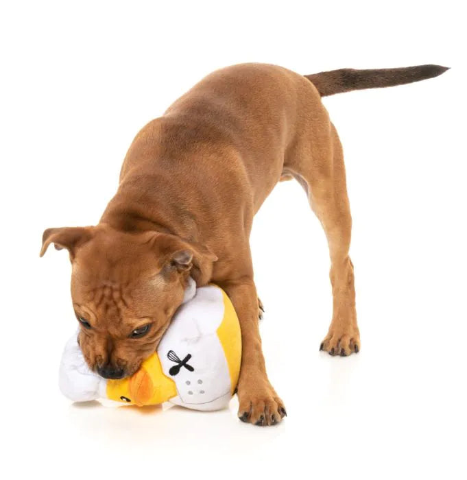Gordon Quacksay Chef Dog Toy