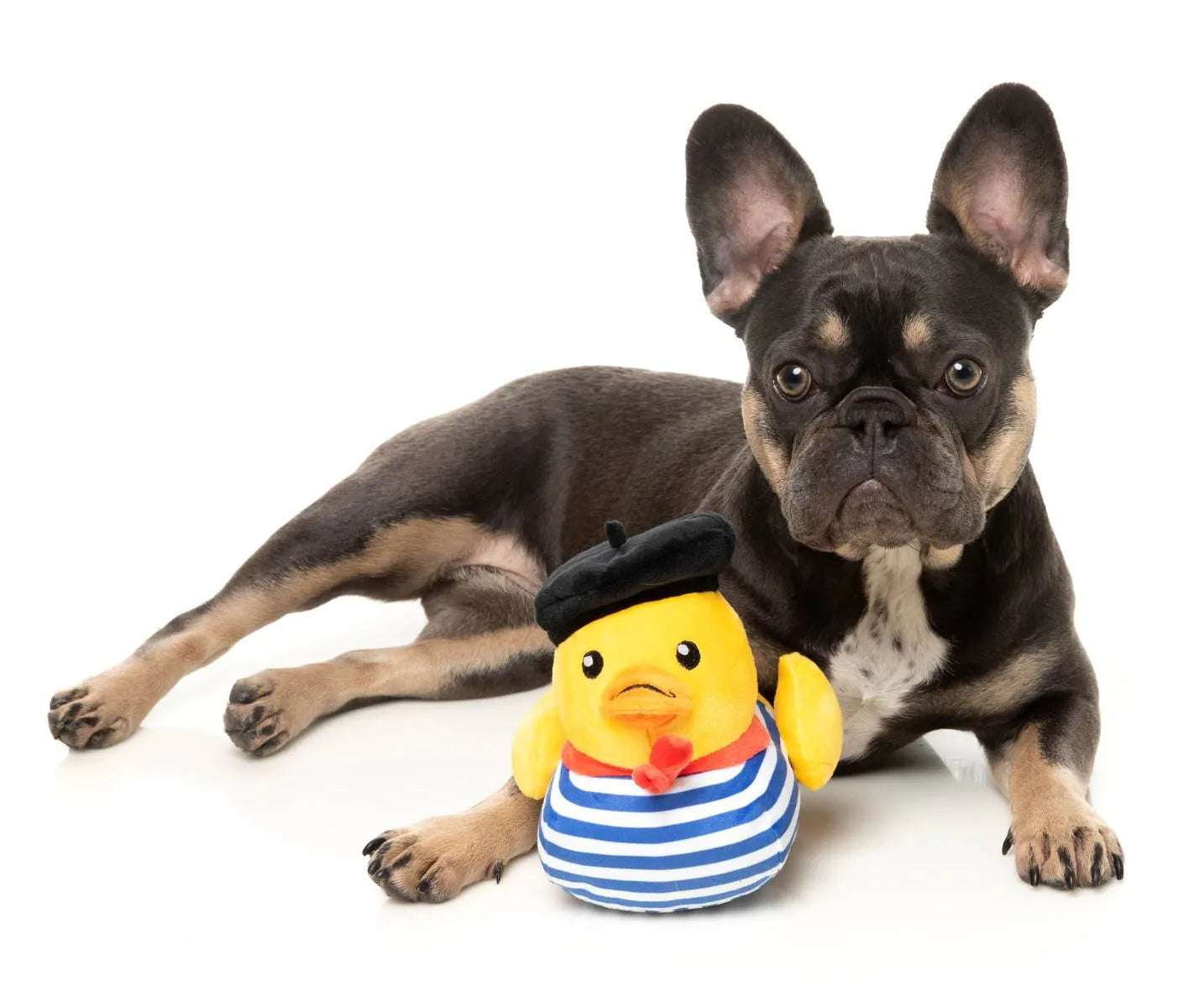 Timothee  Chalaquack Dog Toy - Small