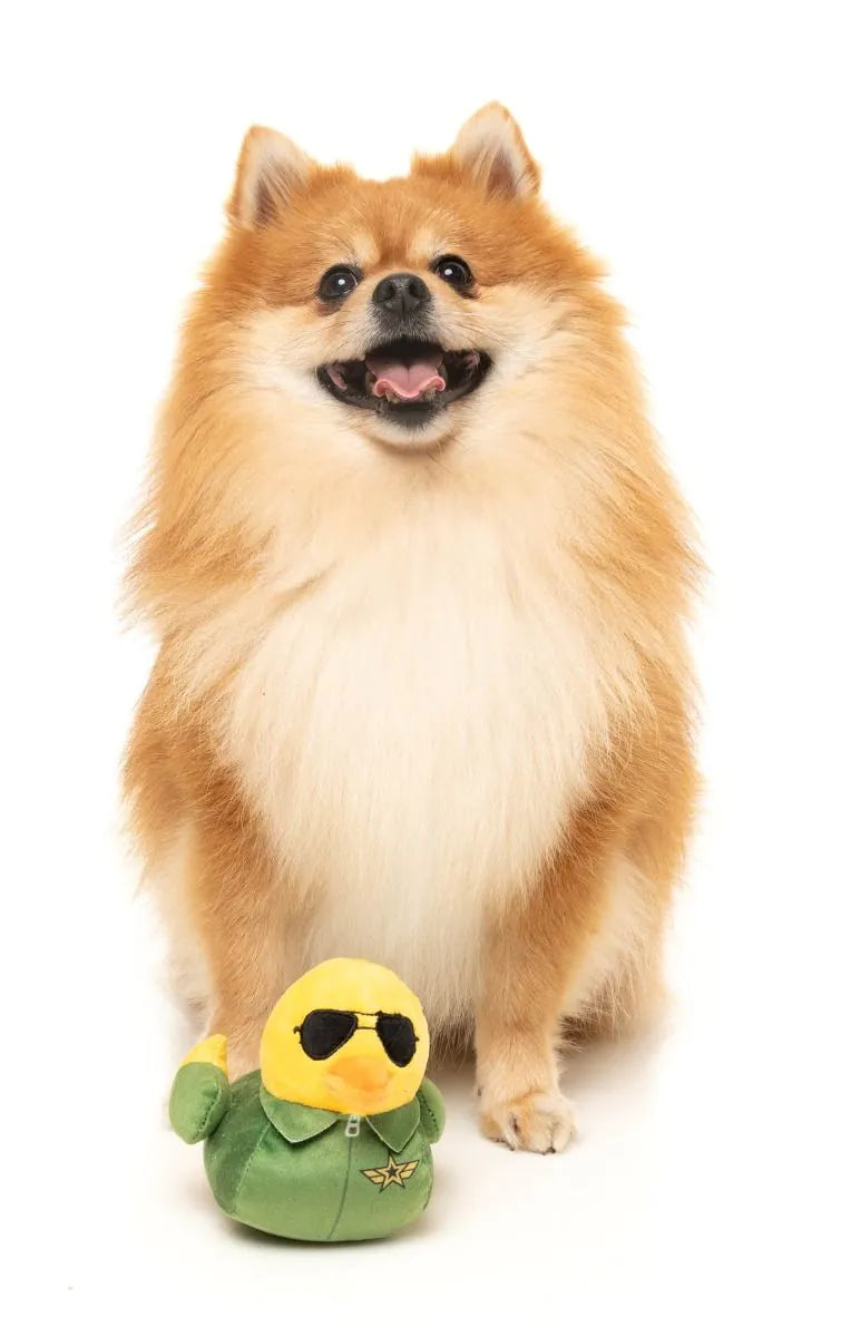 "Goose" Pilot Dog Toy - Small