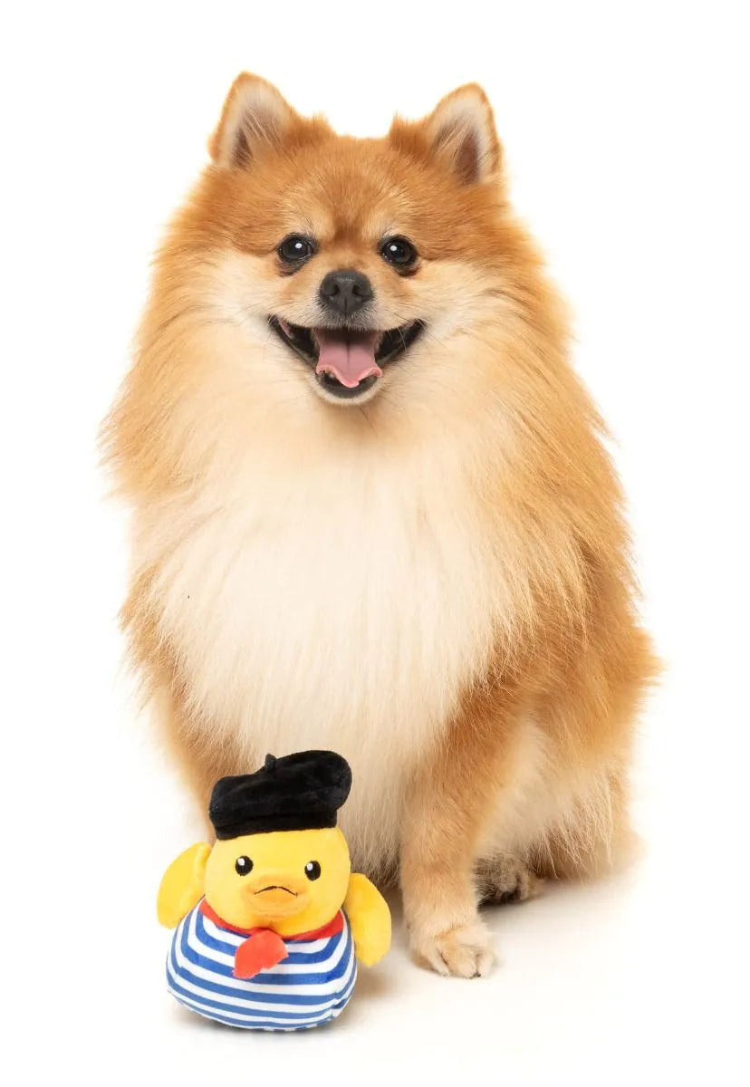 Timothee  Chalaquack Dog Toy - Small
