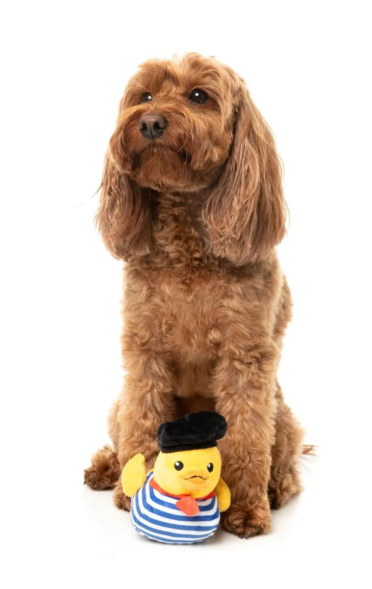 Timothee  Chalaquack Dog Toy - Small