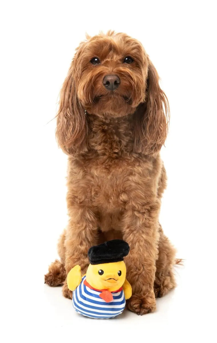 Timothee  Chalaquack Dog Toy - Small