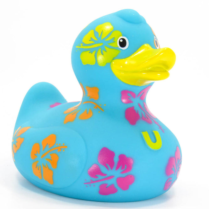 Canard l'hawaïen
