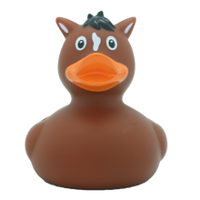 Pony  Rubber Duck