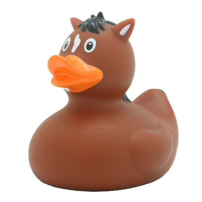 Pony  Rubber Duck