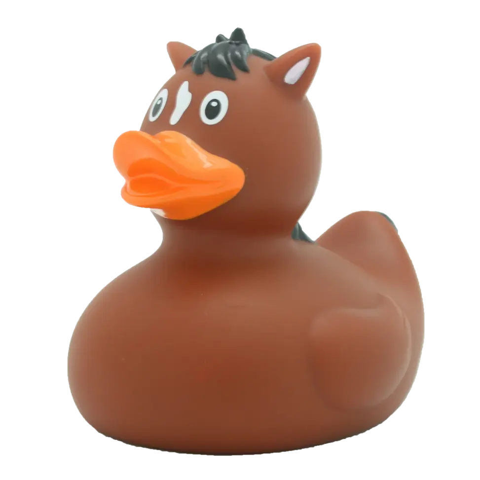 Pony  Rubber Duck