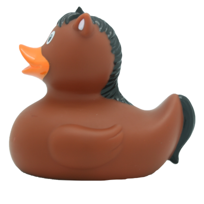 Pony  Rubber Duck
