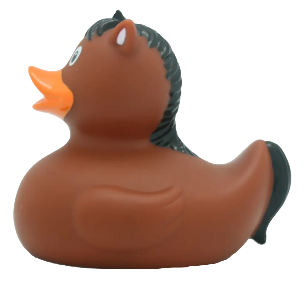 Pony  Rubber Duck