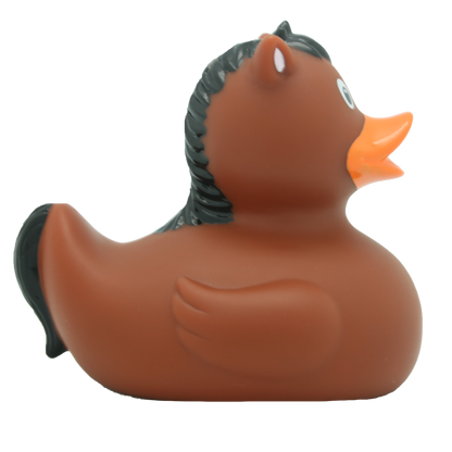 Pony  Rubber Duck