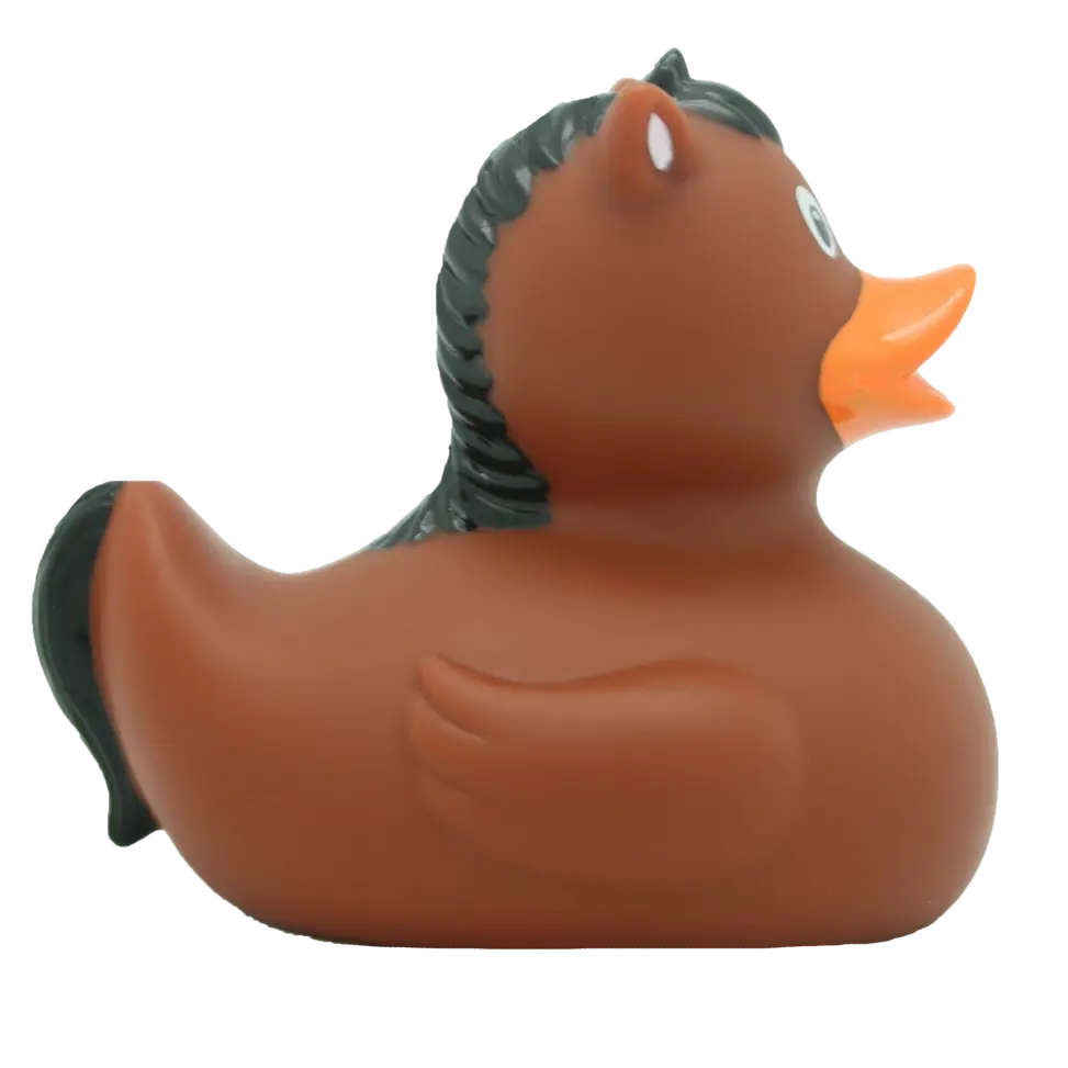 Pony  Rubber Duck