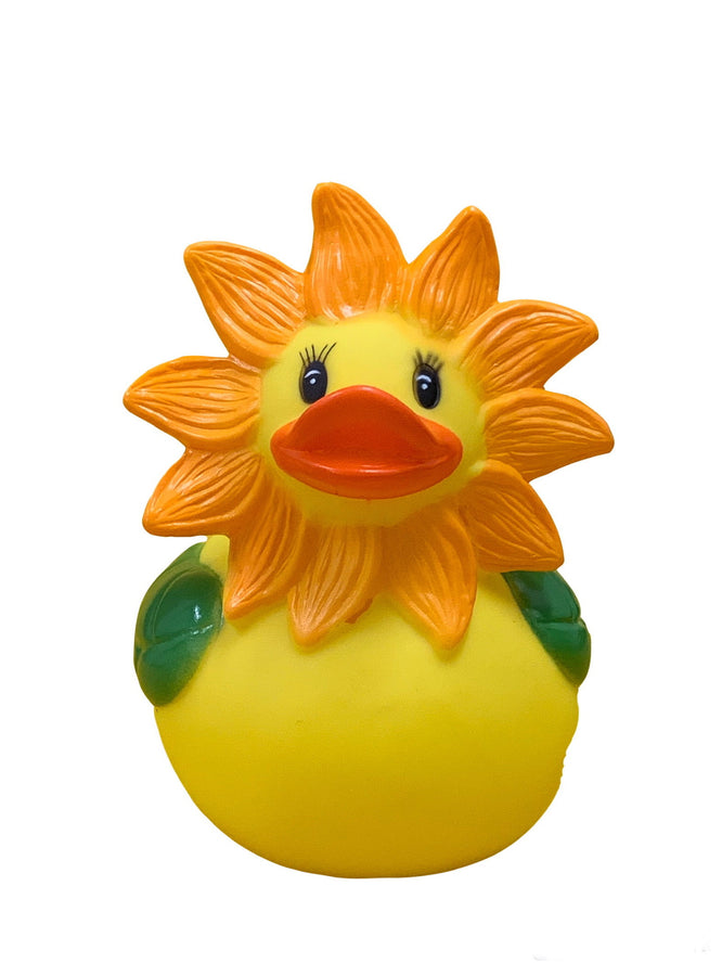 Canard Tournesol