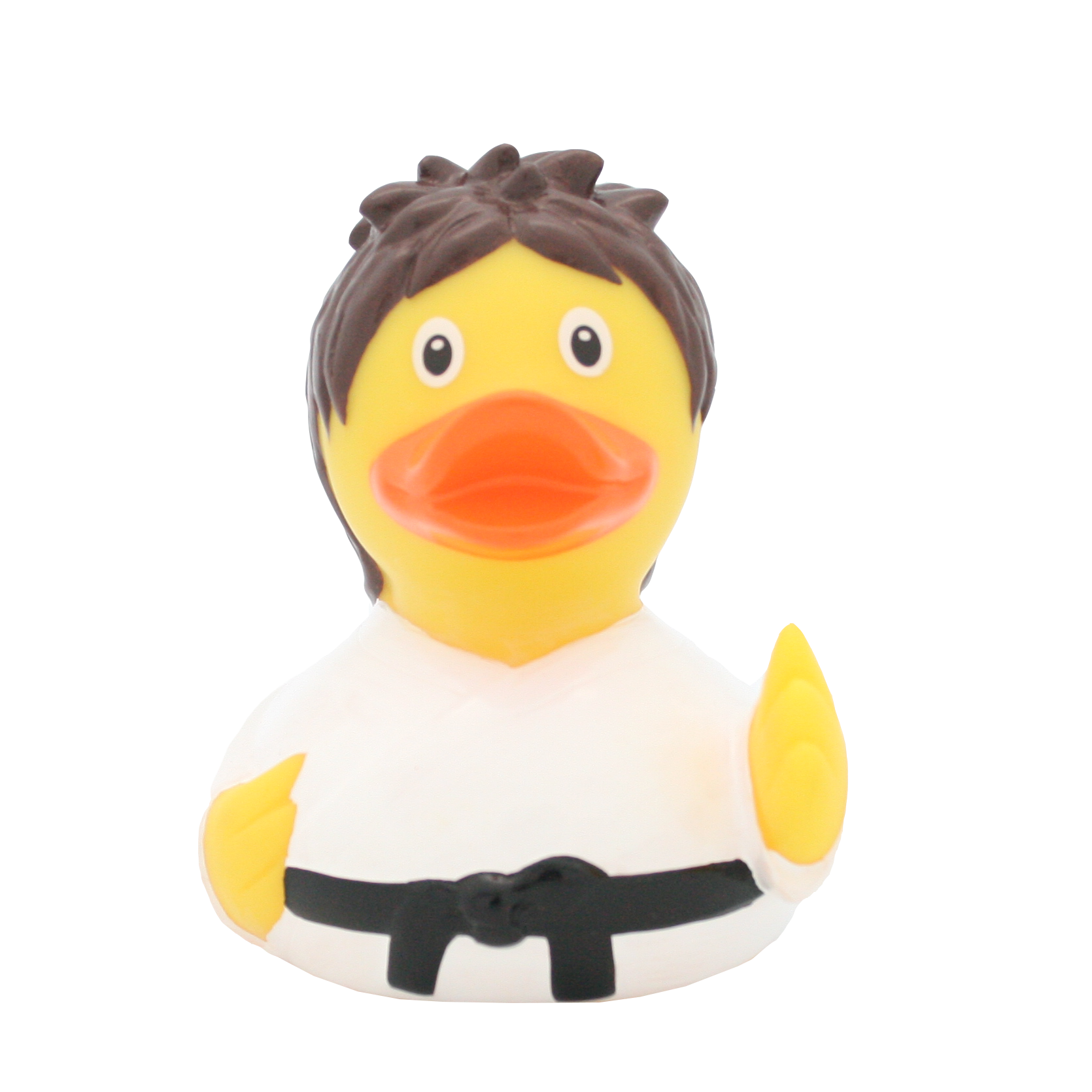 Kung Fu Rubber Duck