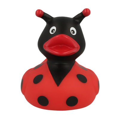 Ladybug Rubber Duck