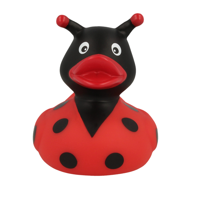 Canard Coccinelle