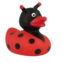 Ladybug Rubber Duck