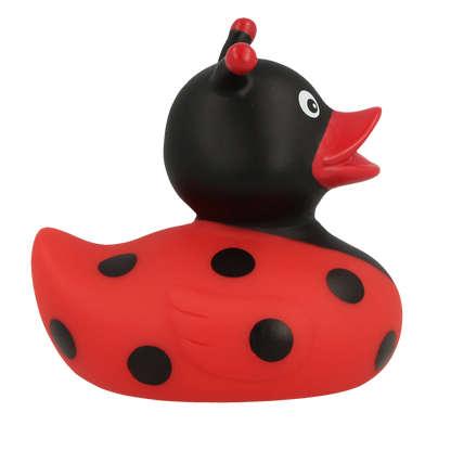 Ladybug Rubber Duck