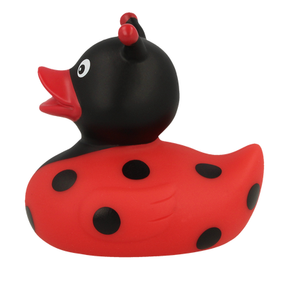 Ladybug Rubber Duck
