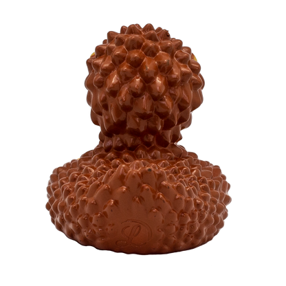 Hedgehog Rubber Duck