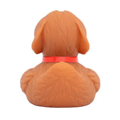 Canard Chien de Sauvetage en Montagne