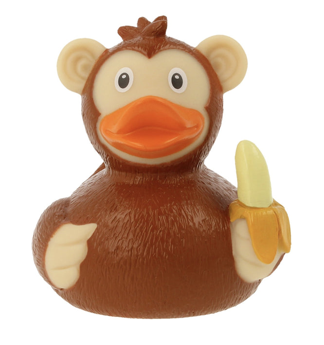 Canard Singe