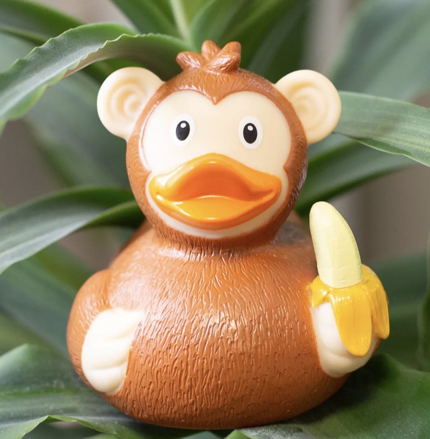 Monkey Rubber Duck