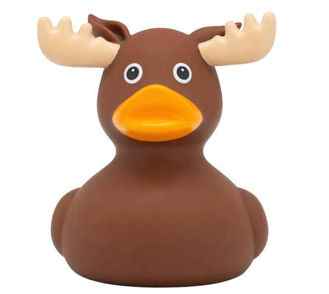 Canard Élan