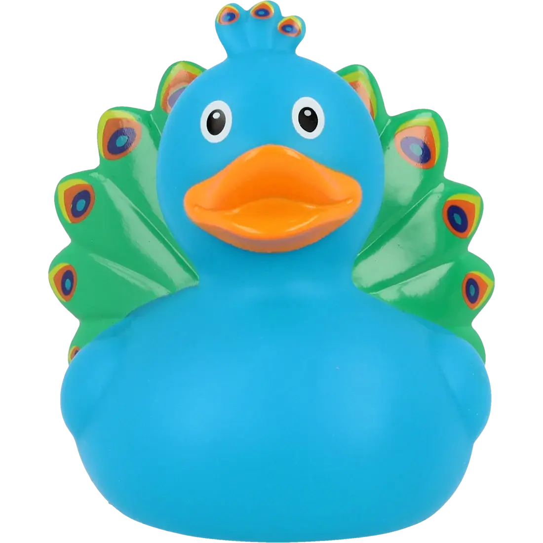 Canard Paon         