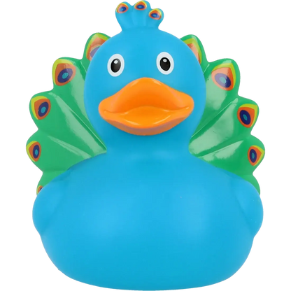 Canard Paon         