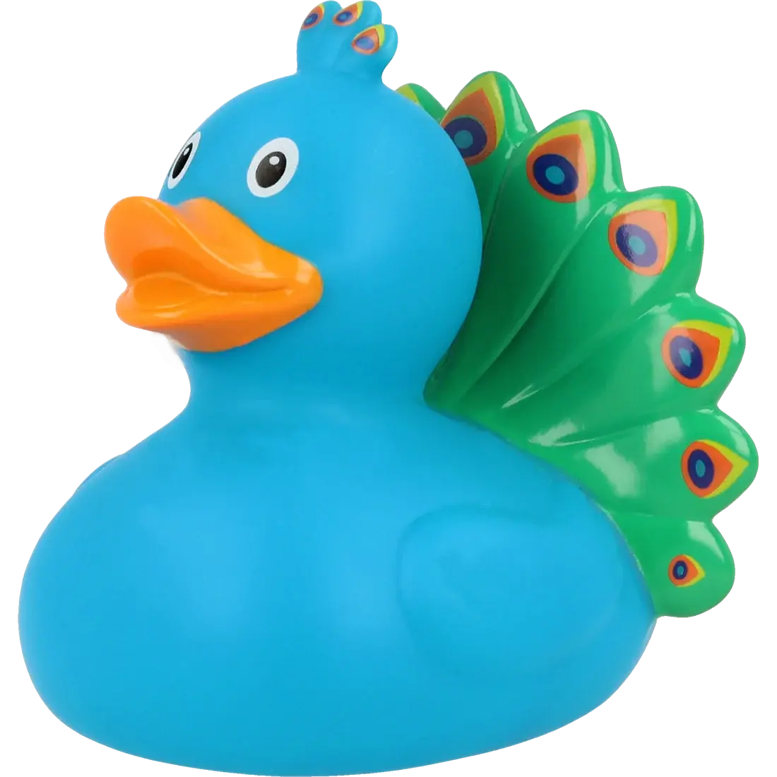 Canard Paon         