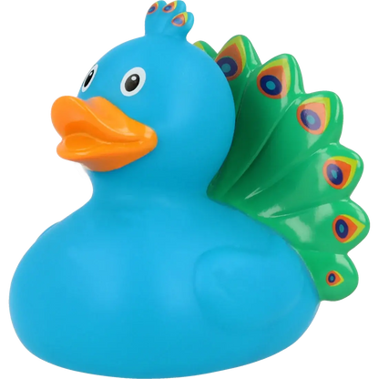 Canard Paon         