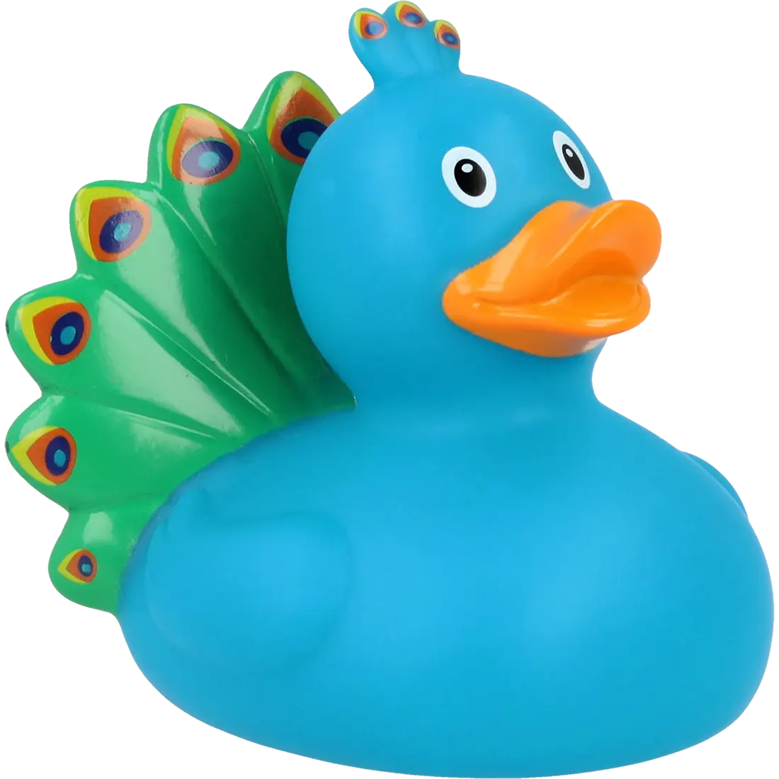 Canard Paon         