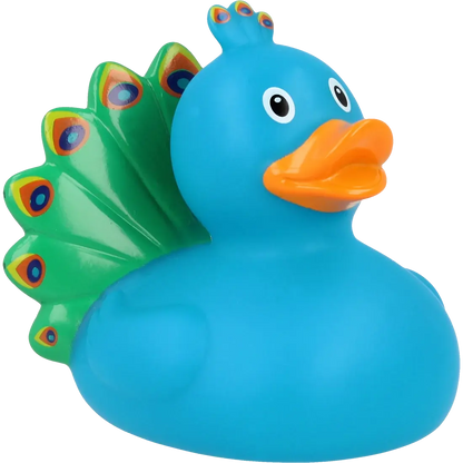 Canard Paon         